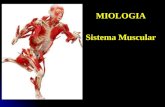 Sistema Muscular(4_ aula)[1]