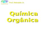 Organica 1