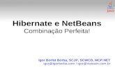 Hibernate e NetBeans: Combinação Perfeita!