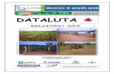 DATALUTA – Banco de Dados da Luta pela Terra_ Relatório 2008 – Minas Gerais