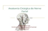 Anatomia Cirúrgica do Nervo Facial