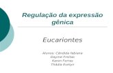 REGULAÇÃO DA EXPRESSÃO GÊNICA EM EUCARIONTES