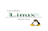 Apostila SENAI  Informatica Curso Basico de Linux