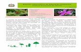 Boletim Informativo de Educação Ambiental GERED - N.03