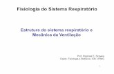 [med-139] Fisiologia do Sistema Respiratório - privado
