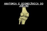 Aula de Anatomia e Biomecanica Do Joelho 1ppt