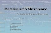 5117_Metabolismo microbiano