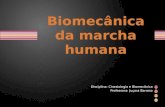 Biomecnica Da Marcha Humana
