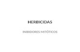 HERBICIDAS acao