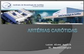 ANATOMIA DAS ARTÉRIAS CARÓTIDA COMUM, CARÓTIDA EXTERNA