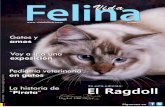 Revista Vida Felina - 1 Edic