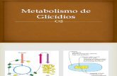 Metabolismo de Glicídios