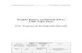 P 34 - Programa de Recomposição Florestal