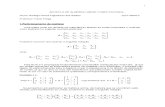 Apostila Álgebra Linear Computacional