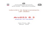Manual Do ArcGIS PDF