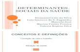 Seminário - Determinantes Sociais da Saúde