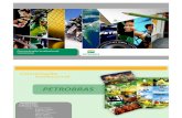 2011 05 13 Petrobras Institucional
