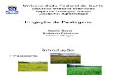 Irrigação / Agrostologia