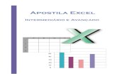 2986510 Apostila Excel Avancado CEFET PDF