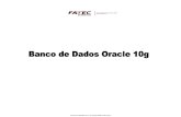 48576737 Banco de Dados Oracle 10g