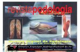 Revistapodologia.com 022pt