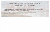 FORMAÇÃO ECONÔMICA E SOCIAL DO PIAUÍ