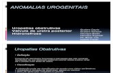 Anomalias Urogenitais 2011 - Final (1)