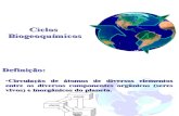 Ciclos Biogeoquímicos - Aula 3