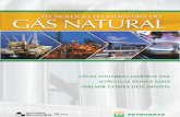 ISSUU Gas Natural Isbn9788521204213