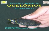 2008 - Criação e Manejo de Quelônios no Amazonas.
