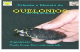 Marcelo Derzi Livro Quelonios