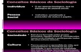 Conceitos - sociologia