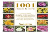 1001 plantas e flores