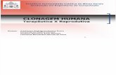 Clonagem Humana - Terapêutica X Reprodutiva