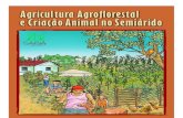 Agricultura Agroflorestal No Semiarido_2010