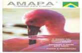 Revista Amapá -  Trabalhar para Crescer (Dezembro de 1992)