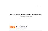 5.2 - Cnen Diretrizes Basicas de Protecao Radio Logic A 301