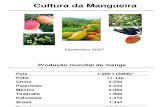 cultura da mangueira