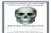 70775006 Atlas de Anatomia Blog