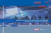 Brochure SoftExpert ECM Suite