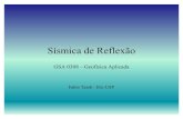 Sísmica de Reflexão GSA308 2011