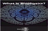 O Que É A Biofísica