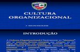Cultura Organizacional - Aula 01  1º  TEN PM NILZILENE