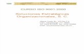 Curso ISO 9001-2000
