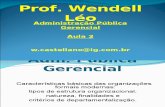 Slides Adm. Pública aula 2 - Prof. Wendell Léo