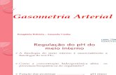 Aula de Gasometria Arterial - Amanda Cunha (2)
