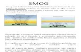 Smog Quimica Ambiental Final