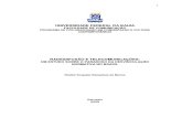 Dissertação - Chalini Barros - Radiodifusão e telecomunicações