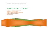Arroz Del Llano (1)