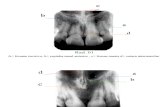 4931_Caderno de exercícios de anatomia radiográfica gabarito